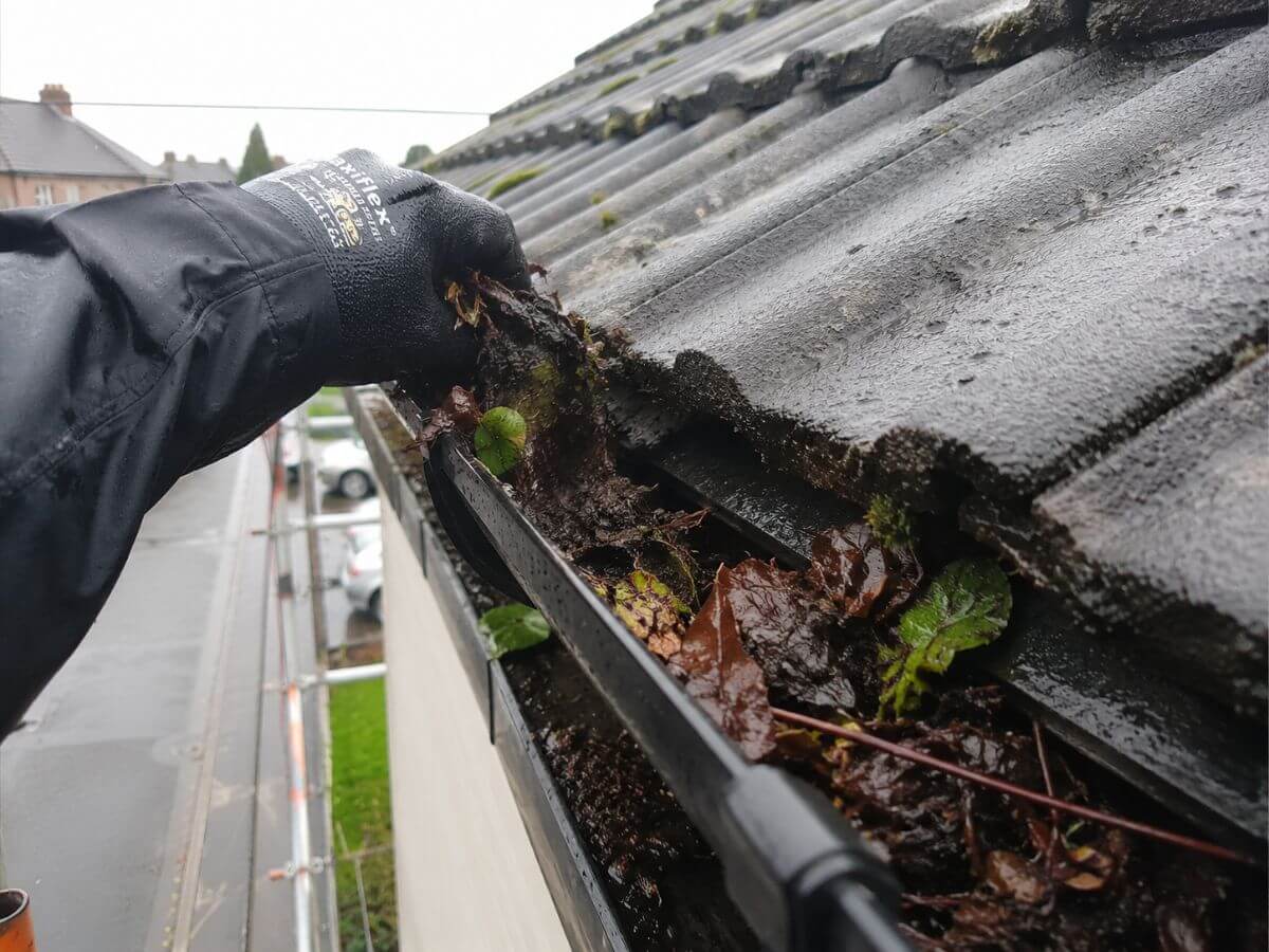 Professional gutter clearance removing moss and debris from residential gutters