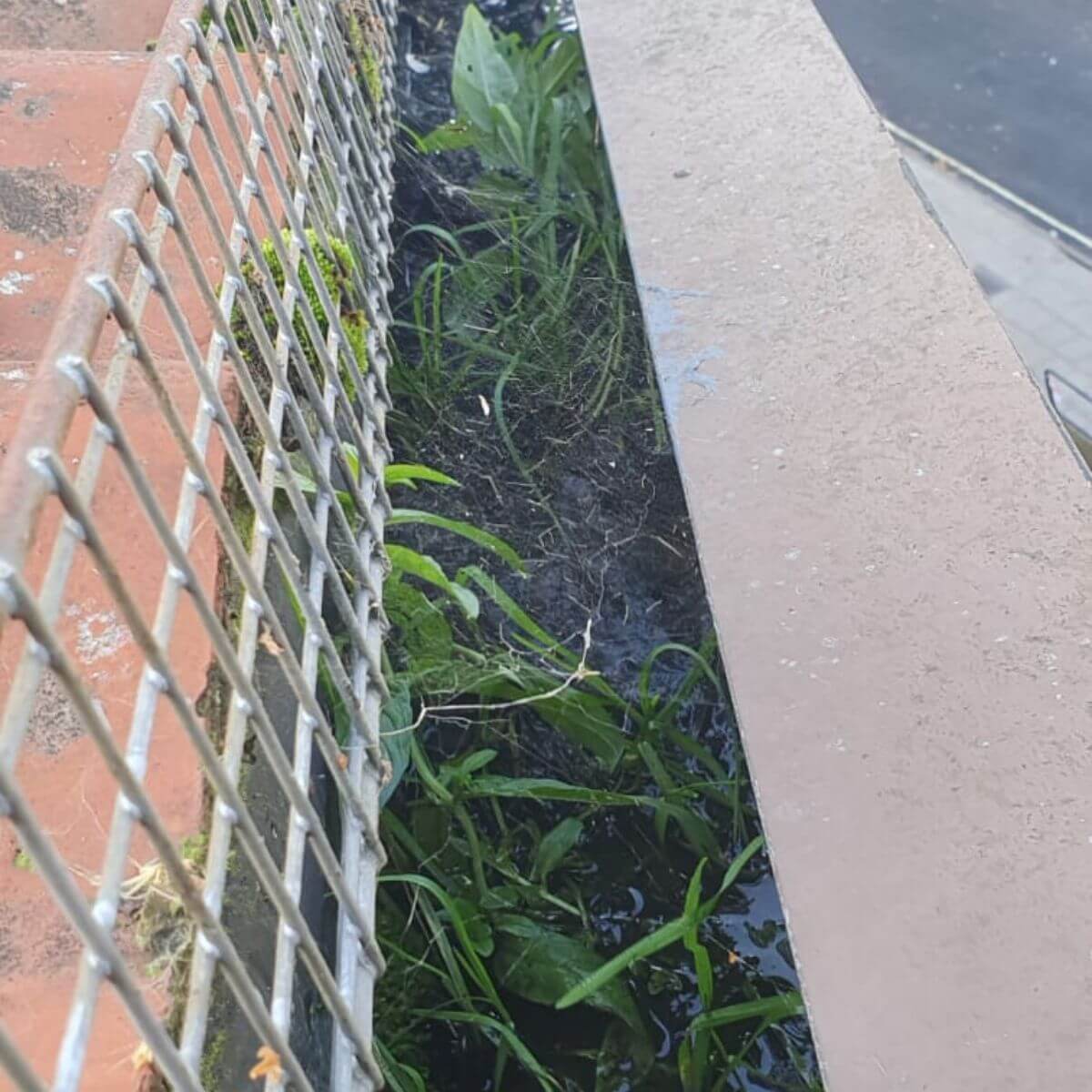Commercial gutter cleaning to remove debris and maintain drainage systems.